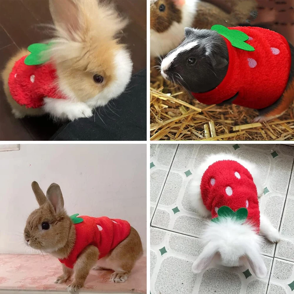 Fruit Jumper for Skinny Pigs - Image 5